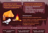 Правила посещения леса в период действия ОПР