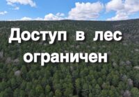 В лесном фонде Бурятии действует режим чрезвычайной ситуации